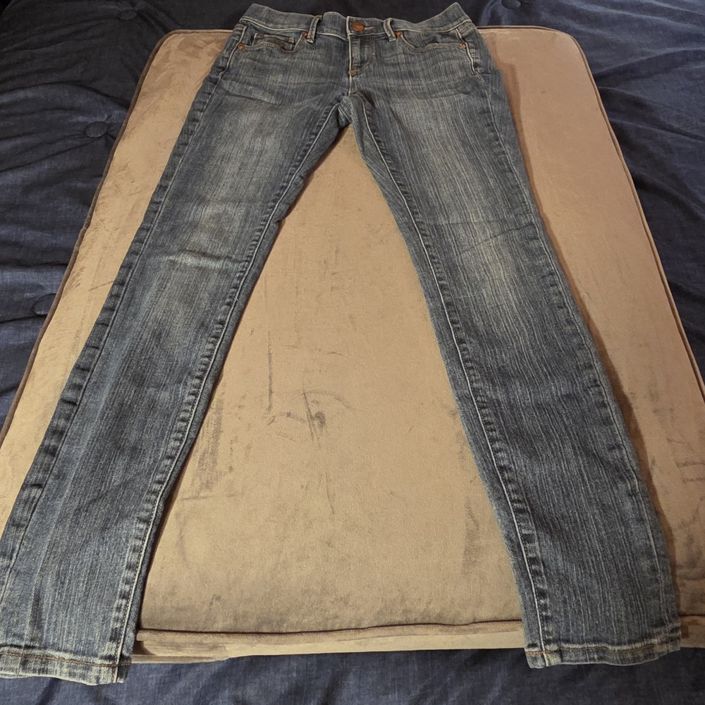 LOFT Blue Skinny Jeans with Vintage Appeal